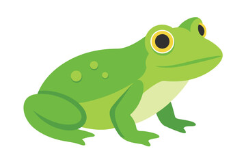 Fototapeta premium Green Frog Cartoon on Lily Pad 