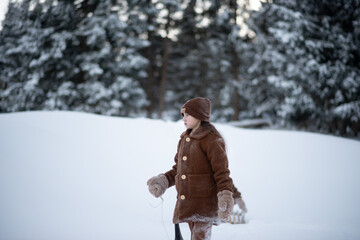 A little girl walks between snowdrifts in a picturesque pine forest. She has large snow mittens on...