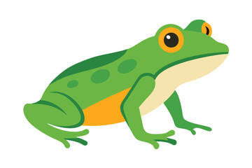 Green Frog Cartoon on Lily Pad
