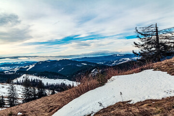 Landscapes - Forest - Europe, Romania, Suceava region 