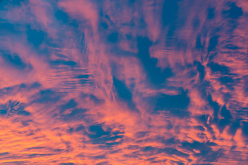 Pink and orange clouds at sunset against a deep blue sky. Abstract natural background for design and print. Aerial perspective with vibrant sky textures.