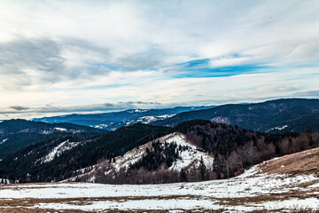 Landscapes - Forest - Europe, Romania, Suceava region 