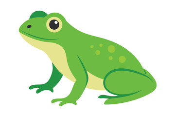 Fototapeta premium Green Frog Cartoon on Lily Pad 