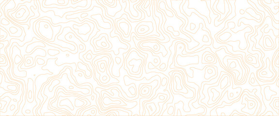 Vector geography landscape Topo contour map on white background, Topographic contour lines. Seamless pattern with lines Topographic map. 