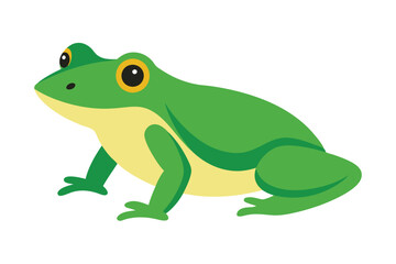 Green Frog Cartoon on Lily Pad
