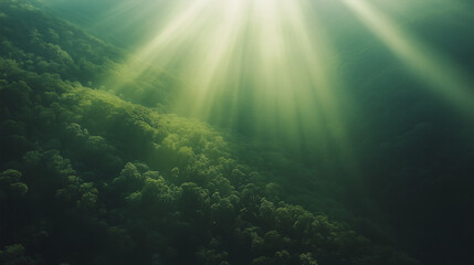 Fototapeta premium Golden Rays of Sunlight Filtering Through Trees in a Serene Green Forest Tranquil Nature Photography