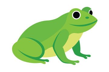 Green Frog Cartoon on Lily Pad
