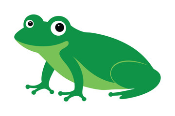 Green Frog Cartoon on Lily Pad
