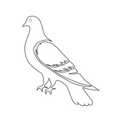 Pigeon with black line art illustration vector on white background.
