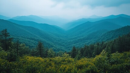Misty blue mountains and green valley.