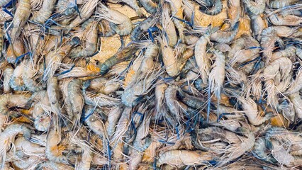 Top view River Prawns. River prawns in the market. Fresh shrimps