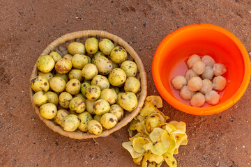Ripe Sclerocarya birrea (Marula, Maroela, Mufula, Ukanyi) fruits with exposed ivory-white flesh