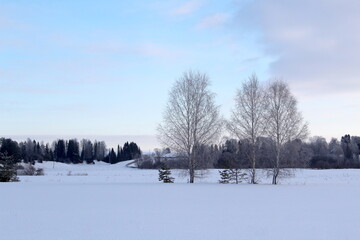 Winter countryside landscape on a frosty day.