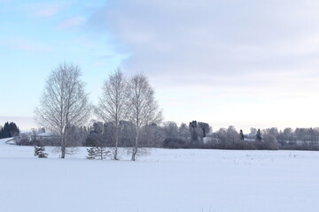 Winter countryside landscape on a frosty day.