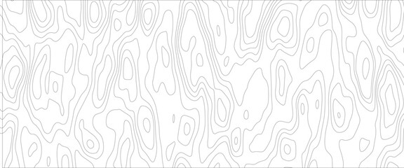 Topographic map. Geographic mountain relief. Abstract lines background. Contour maps. Vector illustration. 