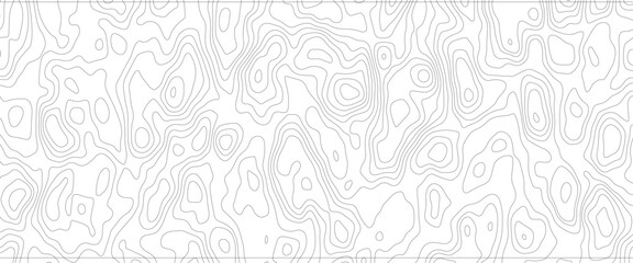 Vector geography landscape Topo contour map on white background, Topographic contour lines. Seamless pattern with lines Topographic map. 