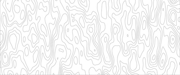Seamless pattern with lines Background of the topographic map. Topographic map lines, contour background. Dense lines, Background of the topographic map. 