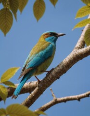 Obraz premium Blue-green bird with calm mood perching on tree branch against natural background. Birds returning