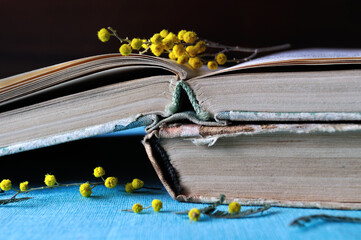 Spring background, a stack of worn books with yellow mimosa flowers. Selective focus at the book spines, spring background with mimosa flowers