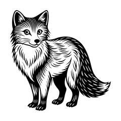 arctic fox silhouette