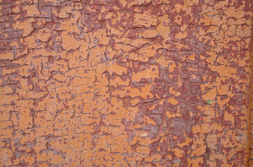old door texture
