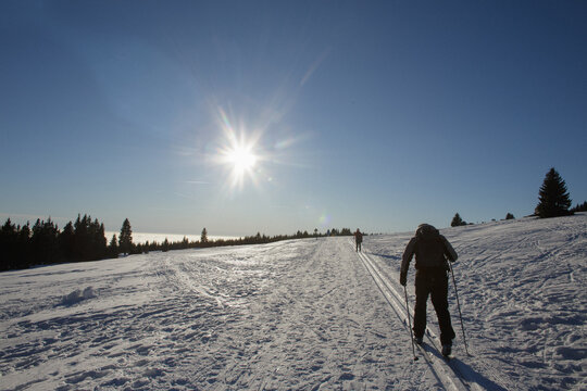 Cross-country skiing trail in the mountains
