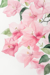 A Lovely Watercolor Painting of Soft Pink Bougainvillea Flowers in Bloom