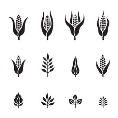 Stylized corn cobs silhouette black and white illustration,