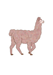 Hand drawn retro illustration of a walking alpaca isolated on transparent background. Monochrome flat wild and zoo animals