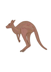 Hand drawn retro illustration of a kangaroo isolated on a transparent background. Monochrome flat wild and zoo animals in trendy brown color