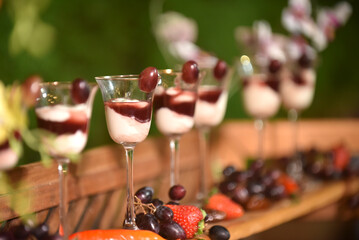 party buffet tasty finger food, savory and sweet dinner