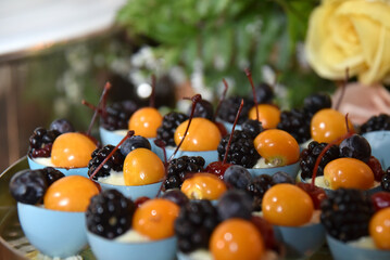 party buffet tasty finger food, savory and sweet dinner