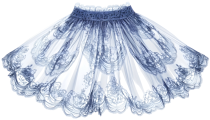 Elegant Lace Skirt Illustration