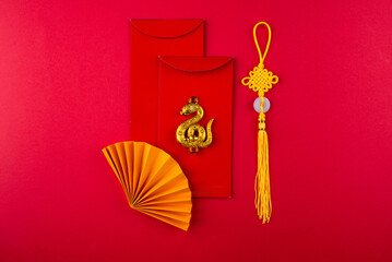 Chinese new year concept. Lunar year of snake
