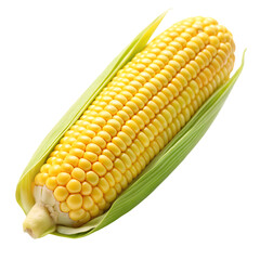 corn on the cob