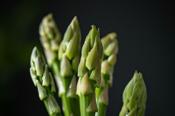 Fresh green asparagus tips are standing on black background