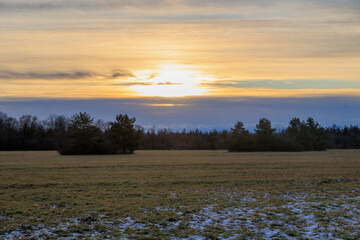 Fog over a meadow at the edge of a forest in January at sunrise in Siebenbrunn near Augsburg
