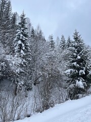 Winter Serenity: Snow-Covered Landscapes