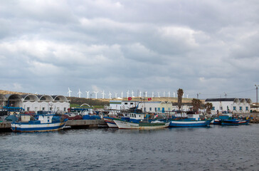 Fototapeta premium Sidi Daoud Port: A Fishing Haven in Nabeul, Tunisia