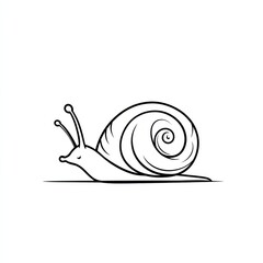 Snail drawing, slow moving, line art, isolated on white, for nature, kids, logo