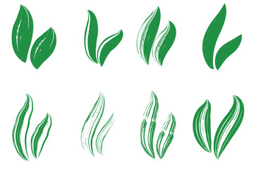 Grunge dry brush leaves set, hand drawn, vector, isolated. Freehand elements for design.