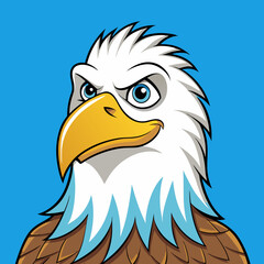 american bald eagle
