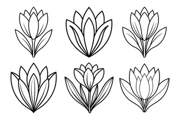 Crocus flower sets icon vector on White Background ,Vector Art Illustration on white background.	