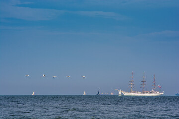Yachts sail on a calm sea under a blue sky.