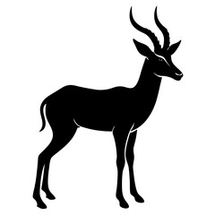 Fototapeta premium silhouette of a deer