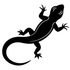 silhouette of a lizard