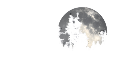 Forest Silhouettes Under the Moon