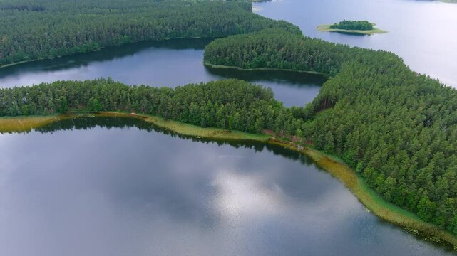 Scenic aerial rotating view of Sciuro Ragas peninsula, separating White Lakajai and Black Lakajai lakes. Picturesque landscape of Labanoras Regional Park. Natural beauty of Lithuania.
