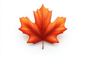 Obraz premium Leaf with a red stem and veins