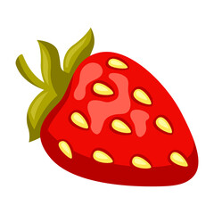 Illustration of strawberry. Stylized food object for cooking recipe and menu.
